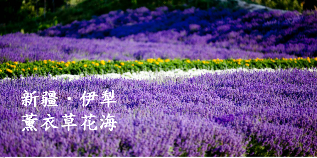 CIELOBLU基路伯 | 祖國(guó)之美，都在大自然的萬(wàn)千色彩中(圖2)
